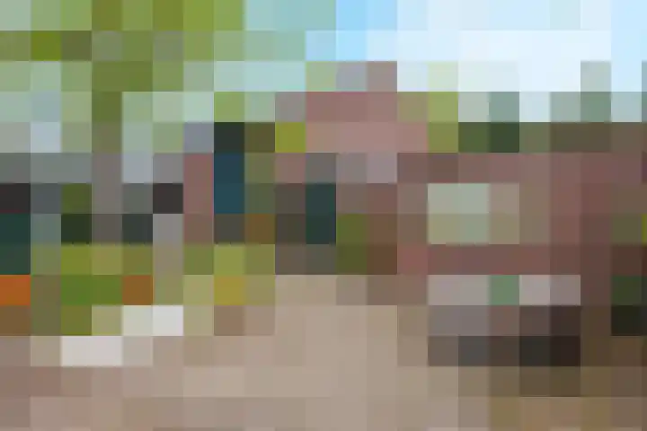 Blitterswijckseweg 3 Broekhuizenvorst thumbnail 61