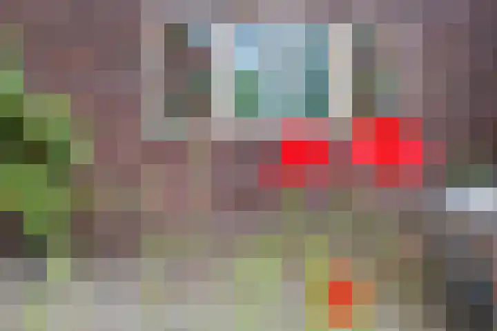 Blitterswijckseweg 3 Broekhuizenvorst thumbnail 62