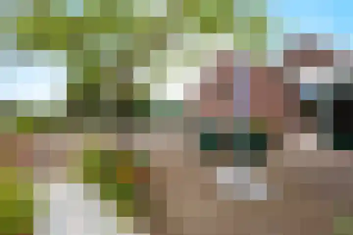 Blitterswijckseweg 3 Broekhuizenvorst thumbnail 63