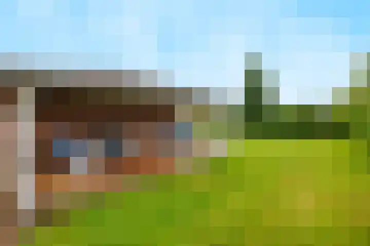 Blitterswijckseweg 3 Broekhuizenvorst thumbnail 67