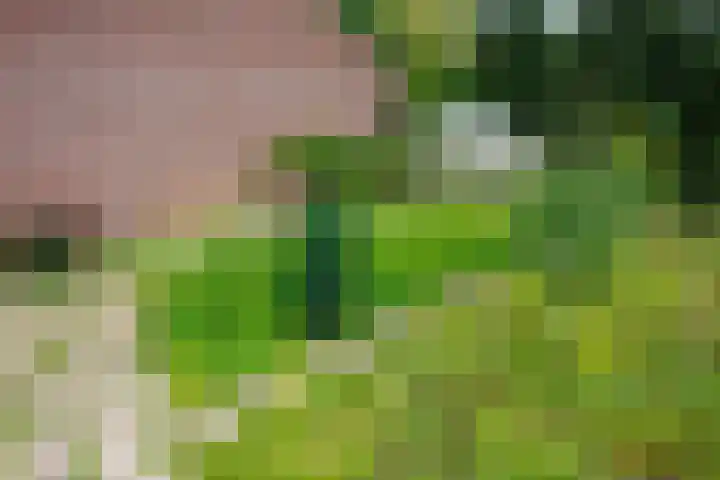 Blitterswijckseweg 3 Broekhuizenvorst thumbnail 70