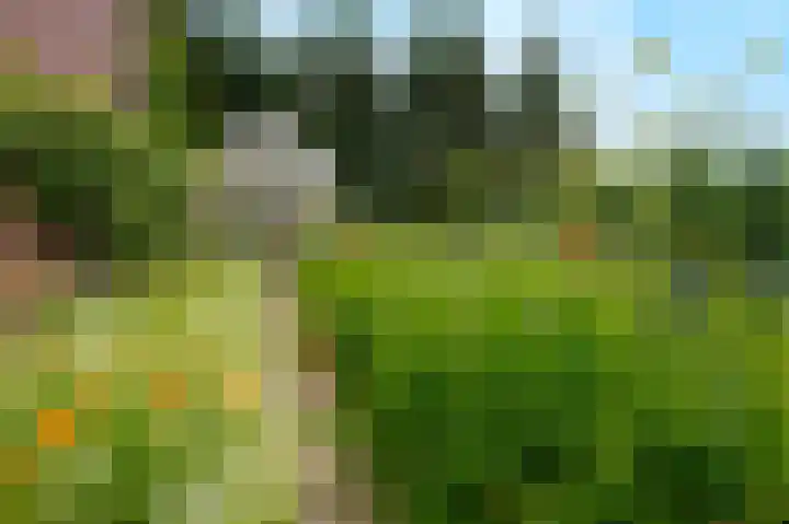 Blitterswijckseweg 3 Broekhuizenvorst thumbnail 71