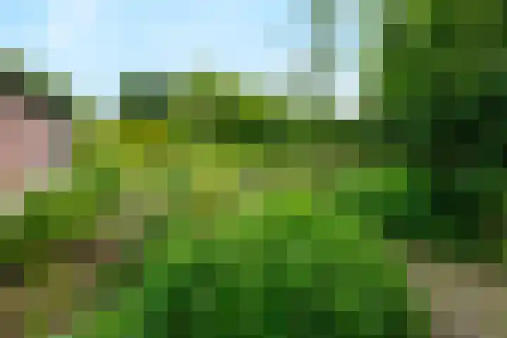 Blitterswijckseweg 3 Broekhuizenvorst thumbnail 72
