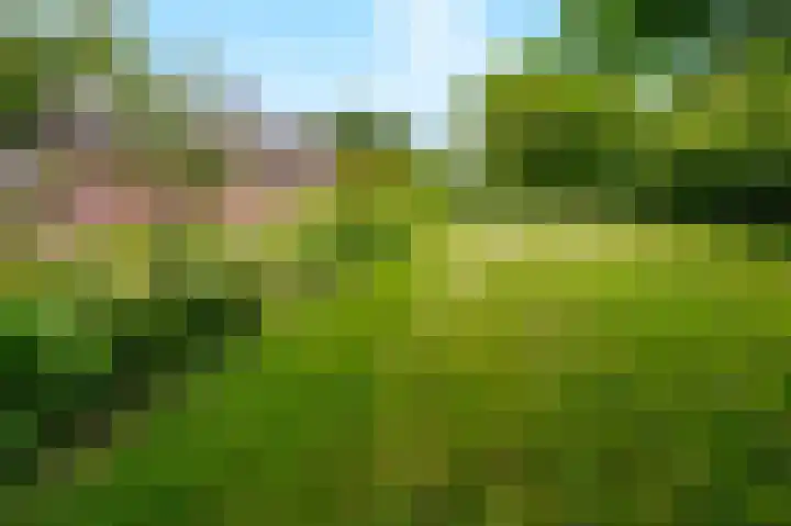 Blitterswijckseweg 3 Broekhuizenvorst thumbnail 73