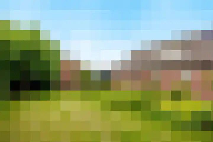 Blitterswijckseweg 3 Broekhuizenvorst thumbnail 75