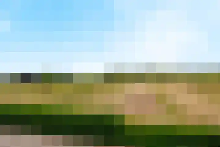 Blitterswijckseweg 3 Broekhuizenvorst thumbnail 76
