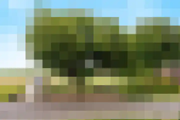 Blitterswijckseweg 3 Broekhuizenvorst thumbnail 77
