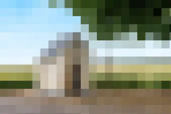 Blitterswijckseweg 3 Broekhuizenvorst thumbnail 78