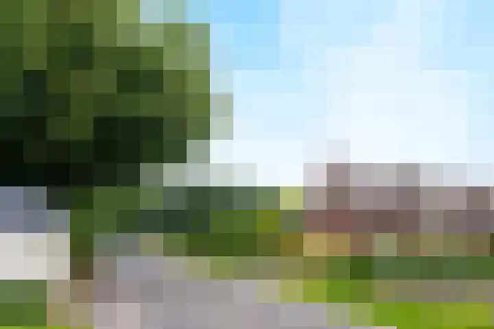 Blitterswijckseweg 3 Broekhuizenvorst thumbnail 81