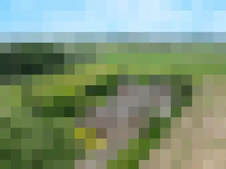 Blitterswijckseweg 3 Broekhuizenvorst thumbnail 84