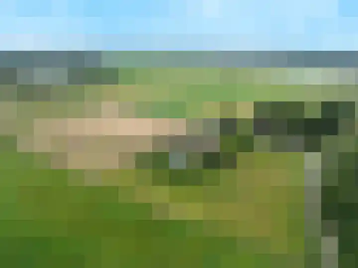 Blitterswijckseweg 3 Broekhuizenvorst thumbnail 86