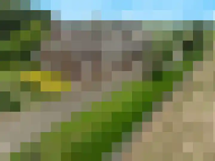 Blitterswijckseweg 3 Broekhuizenvorst thumbnail 88
