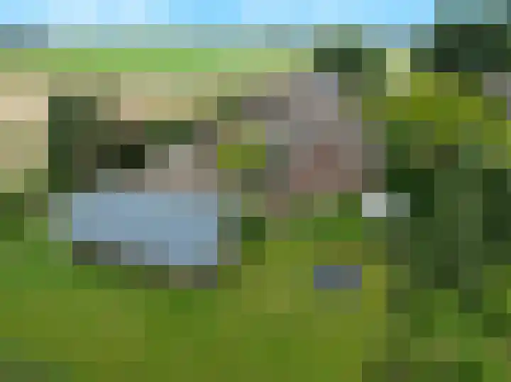 Blitterswijckseweg 3 Broekhuizenvorst thumbnail 91
