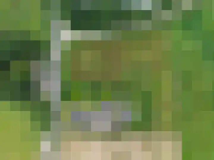 Blitterswijckseweg 3 Broekhuizenvorst thumbnail 92
