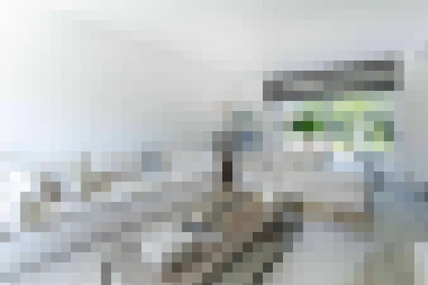 Blockhuijsstraat 14 Ulestraten thumbnail 10