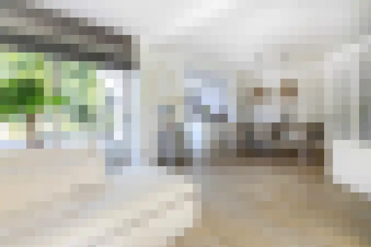 Blockhuijsstraat 14 Ulestraten thumbnail 11