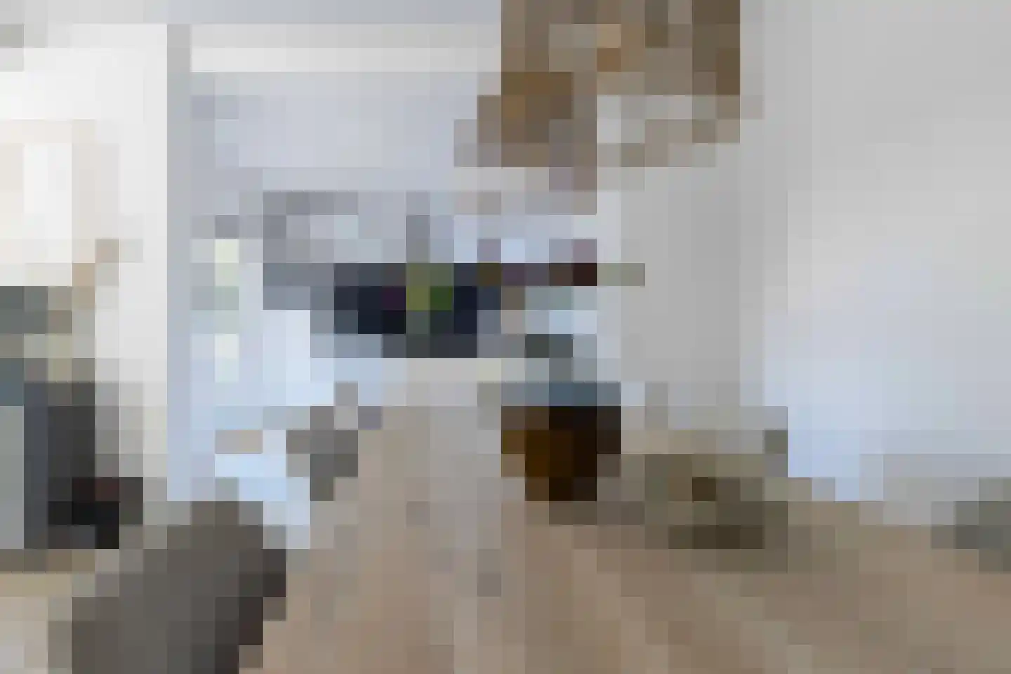 Blockhuijsstraat 14 Ulestraten thumbnail 12