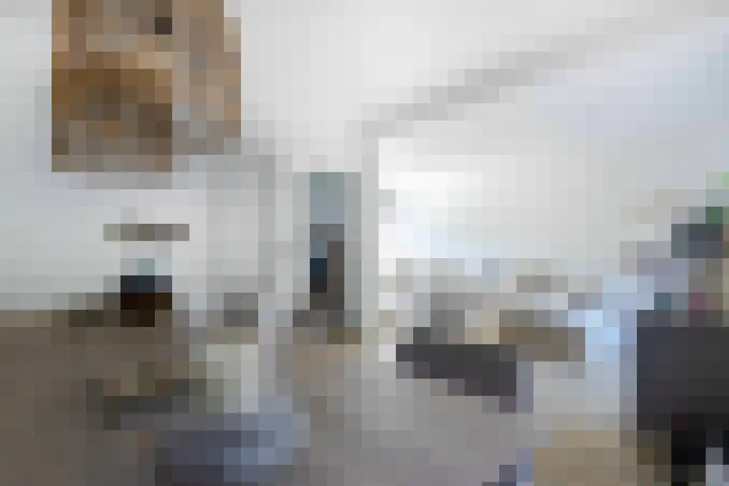 Blockhuijsstraat 14 Ulestraten thumbnail 18