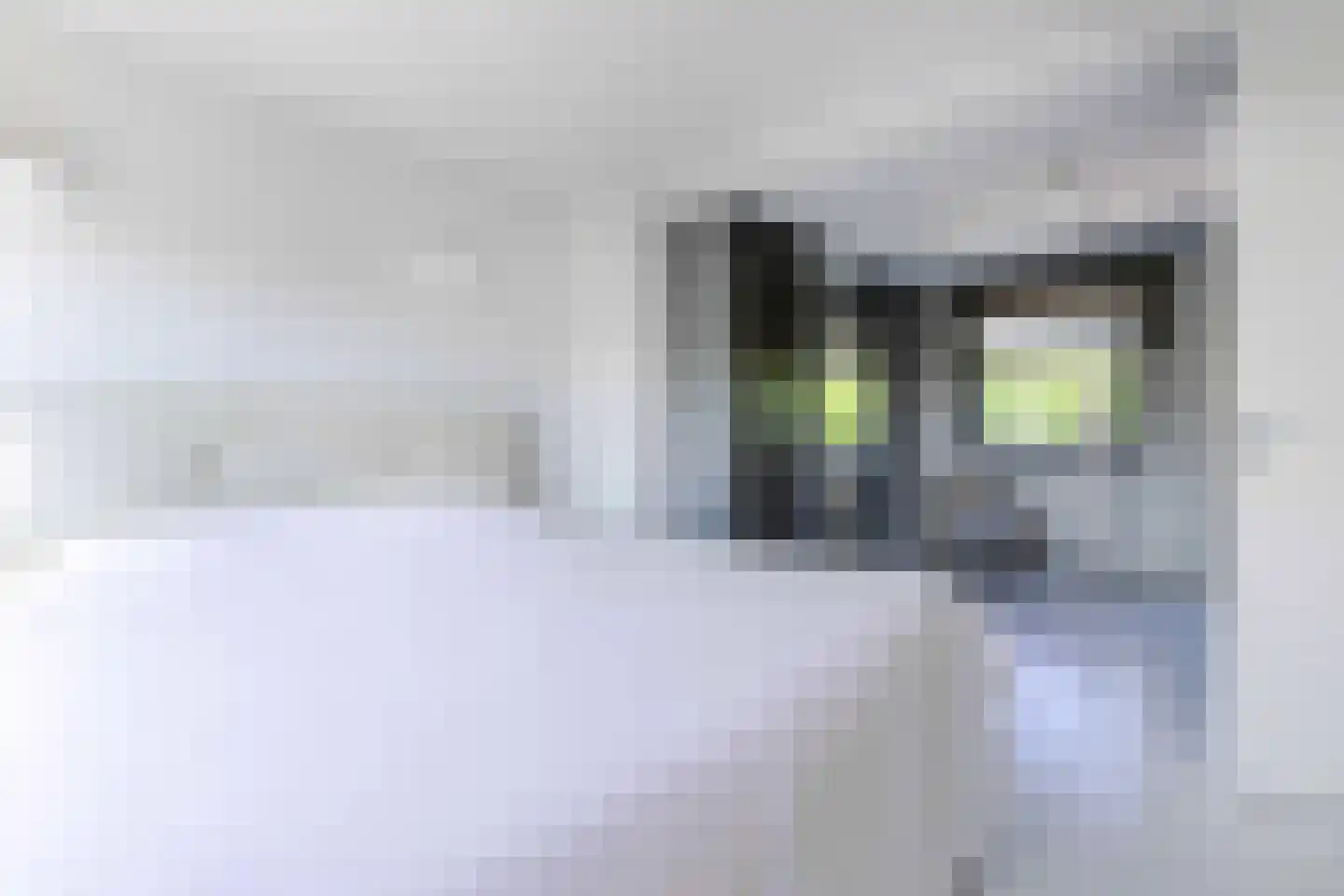 Blockhuijsstraat 14 Ulestraten thumbnail 25