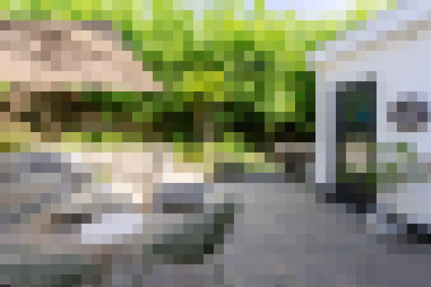 Blockhuijsstraat 14 Ulestraten thumbnail 37