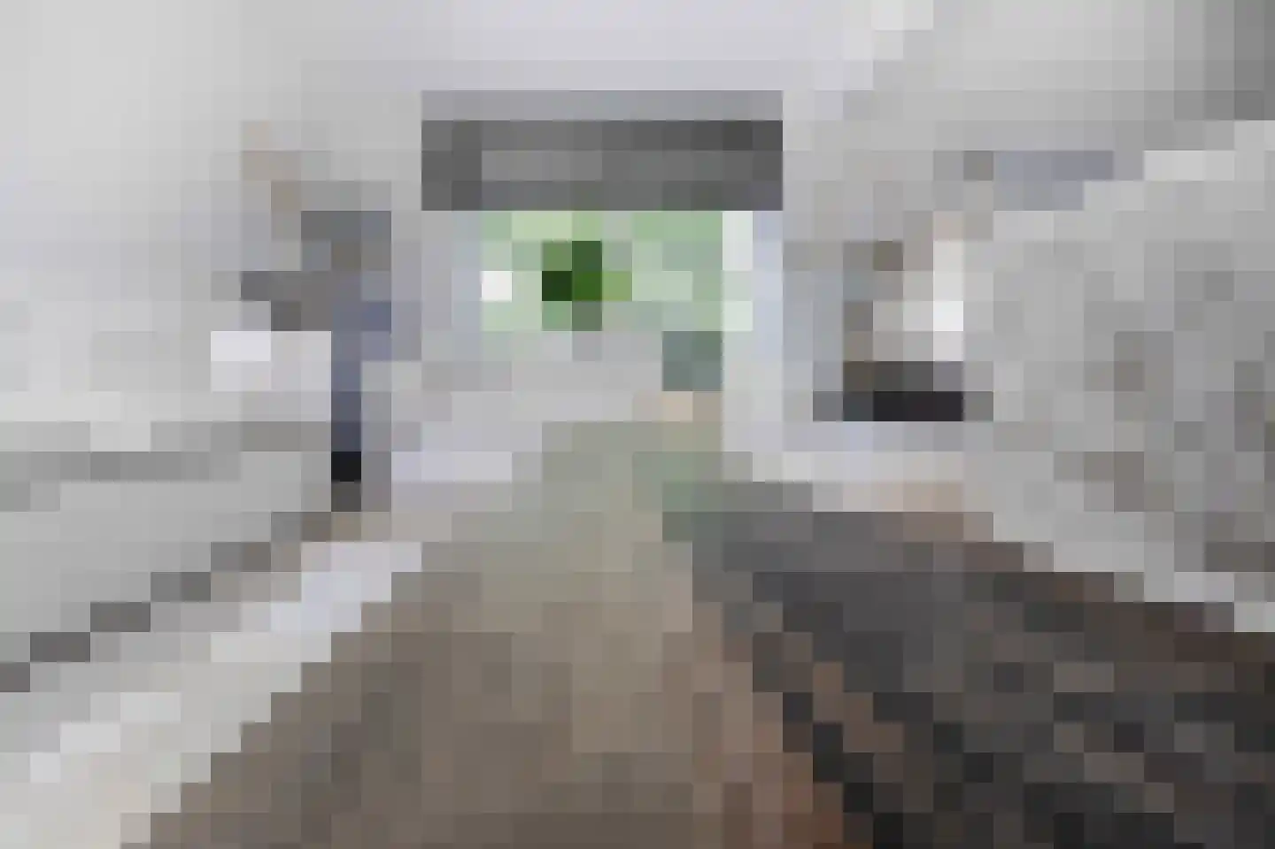 Blockhuijsstraat 14 Ulestraten thumbnail 9