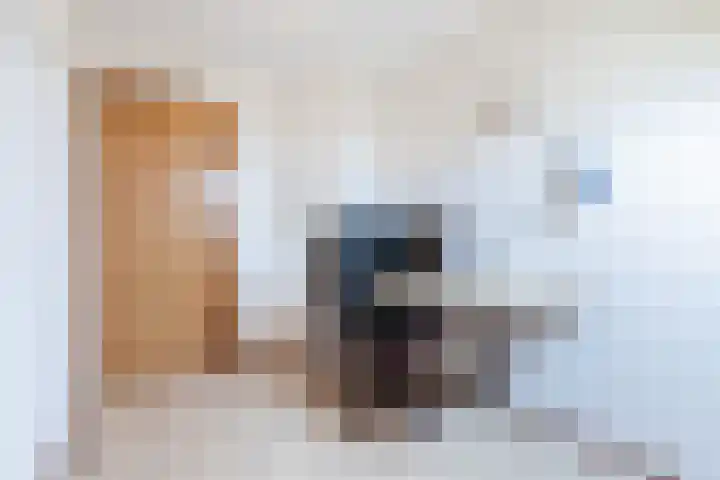 Blockhuysenlaan 1 Zijdewind thumbnail 33