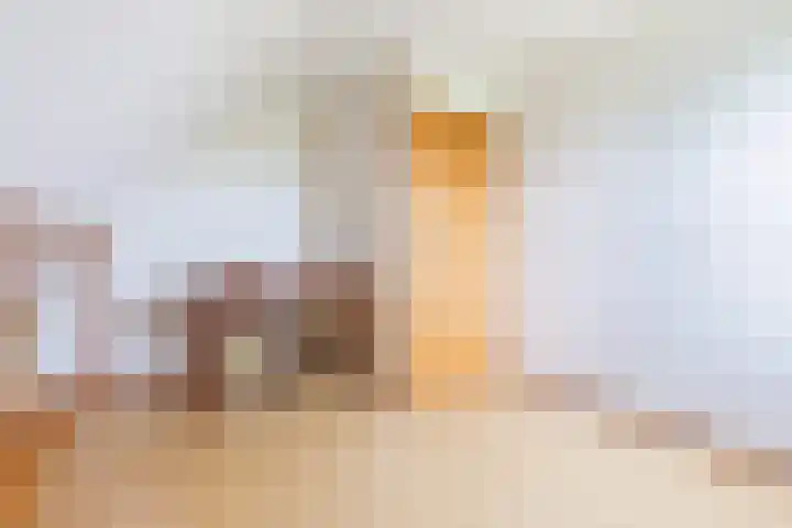 Blockhuysenlaan 1 Zijdewind thumbnail 42