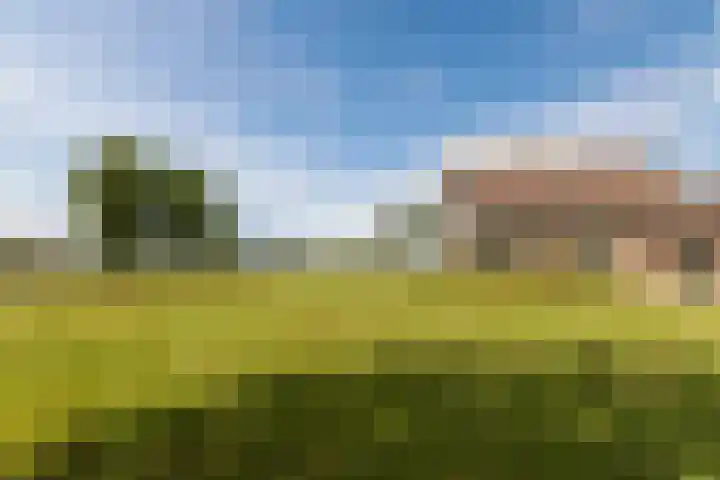 Blockhuysenlaan 1 Zijdewind thumbnail 6