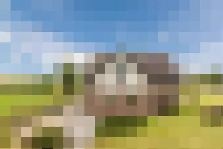Blockhuysenlaan 1 Zijdewind thumbnail 64
