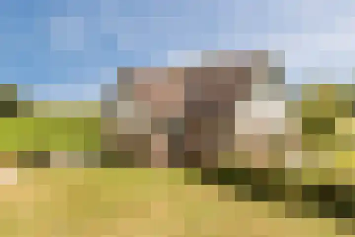 Blockhuysenlaan 1 Zijdewind thumbnail 65