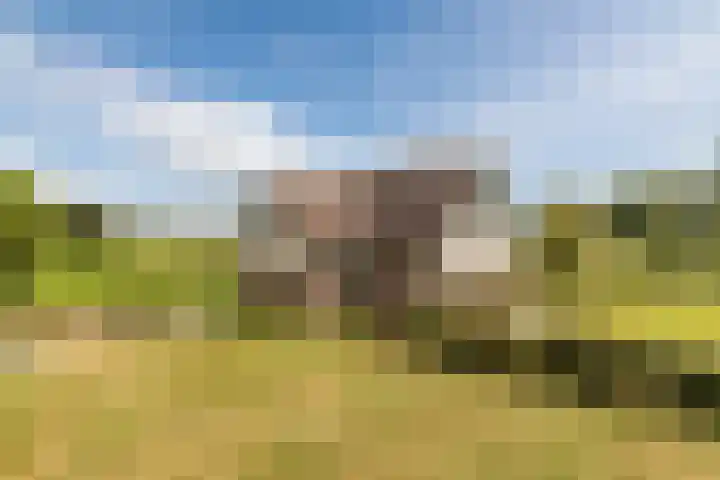 Blockhuysenlaan 1 Zijdewind thumbnail 66