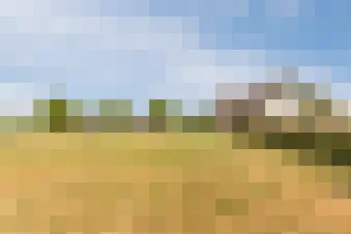 Blockhuysenlaan 1 Zijdewind thumbnail 67