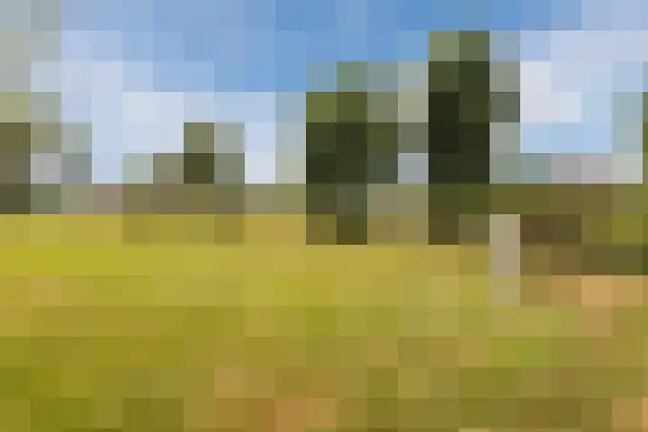 Blockhuysenlaan 1 Zijdewind thumbnail 68
