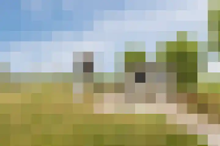 Blockhuysenlaan 1 Zijdewind thumbnail 72