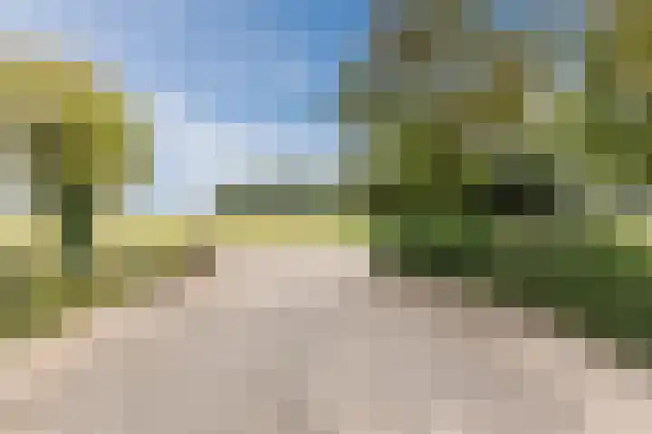 Blockhuysenlaan 1 Zijdewind thumbnail 74