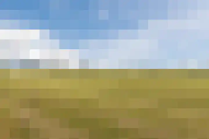 Blockhuysenlaan 1 Zijdewind thumbnail 76