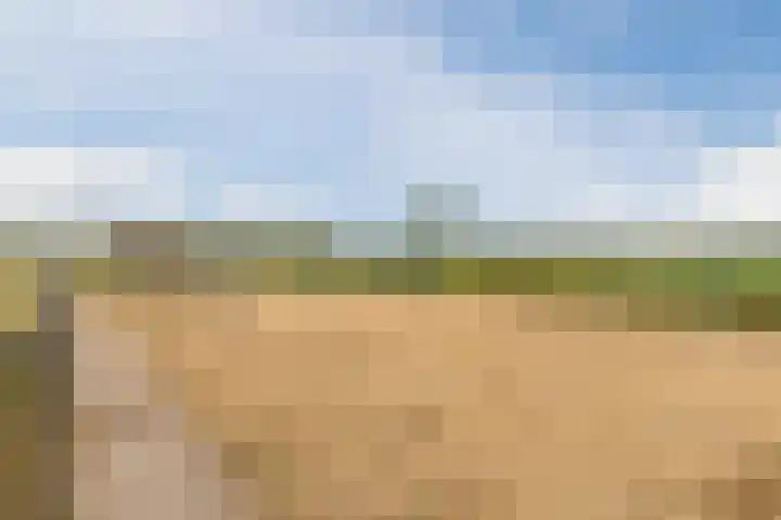 Blockhuysenlaan 1 Zijdewind thumbnail 77