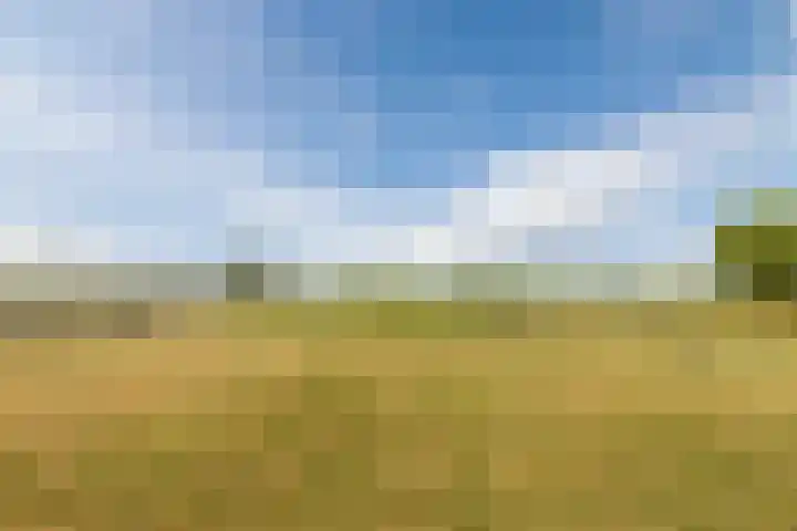 Blockhuysenlaan 1 Zijdewind thumbnail 78