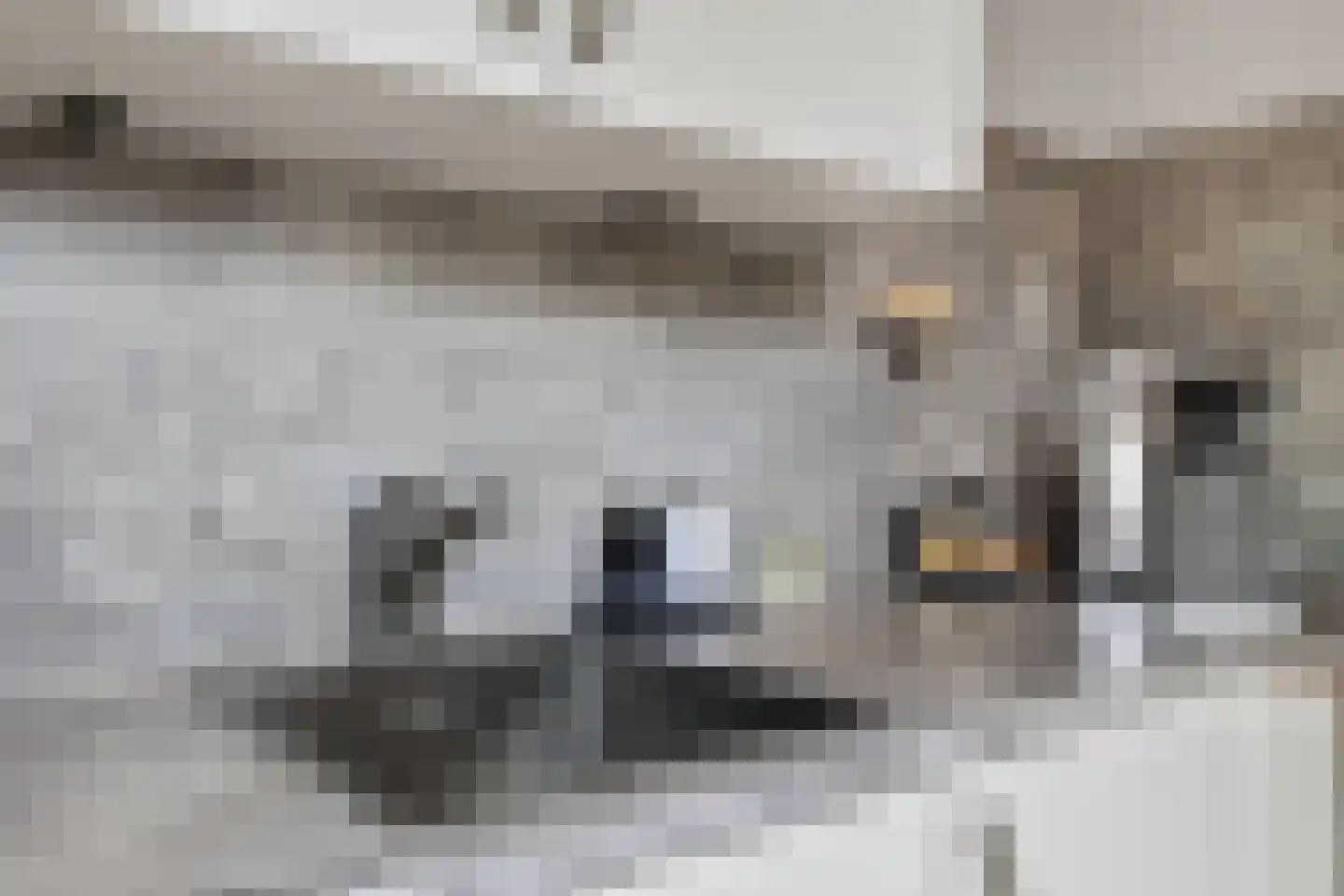 Blockmekerstraat 14 Made thumbnail 21