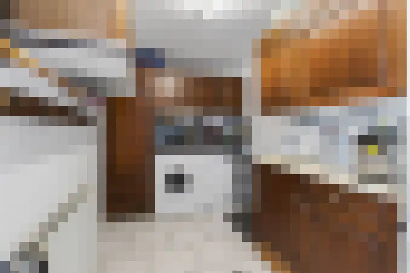 Blockmekerstraat 14 Made thumbnail 26