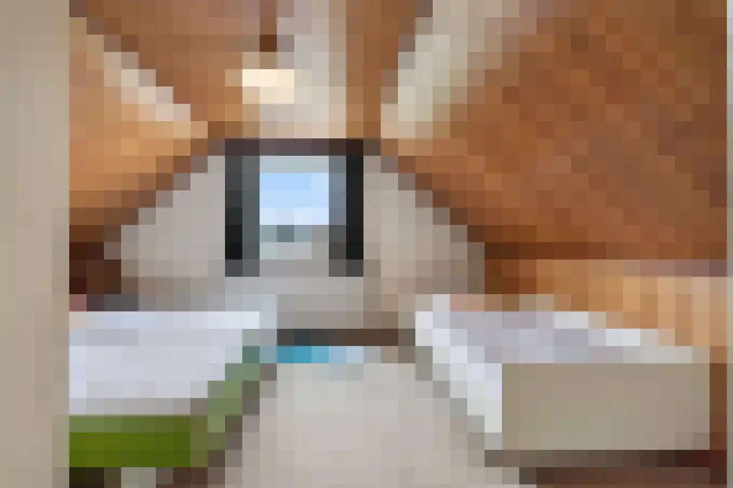 Blockmekerstraat 14 Made thumbnail 49