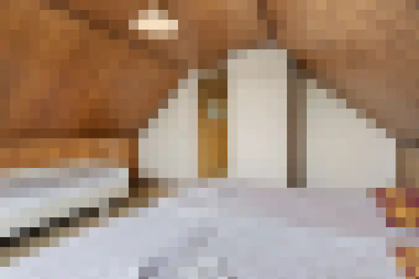 Blockmekerstraat 14 Made thumbnail 51