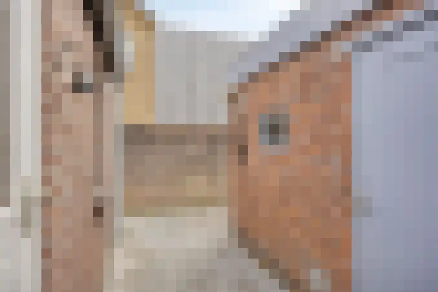 Blockmekerstraat 64 Made thumbnail 29