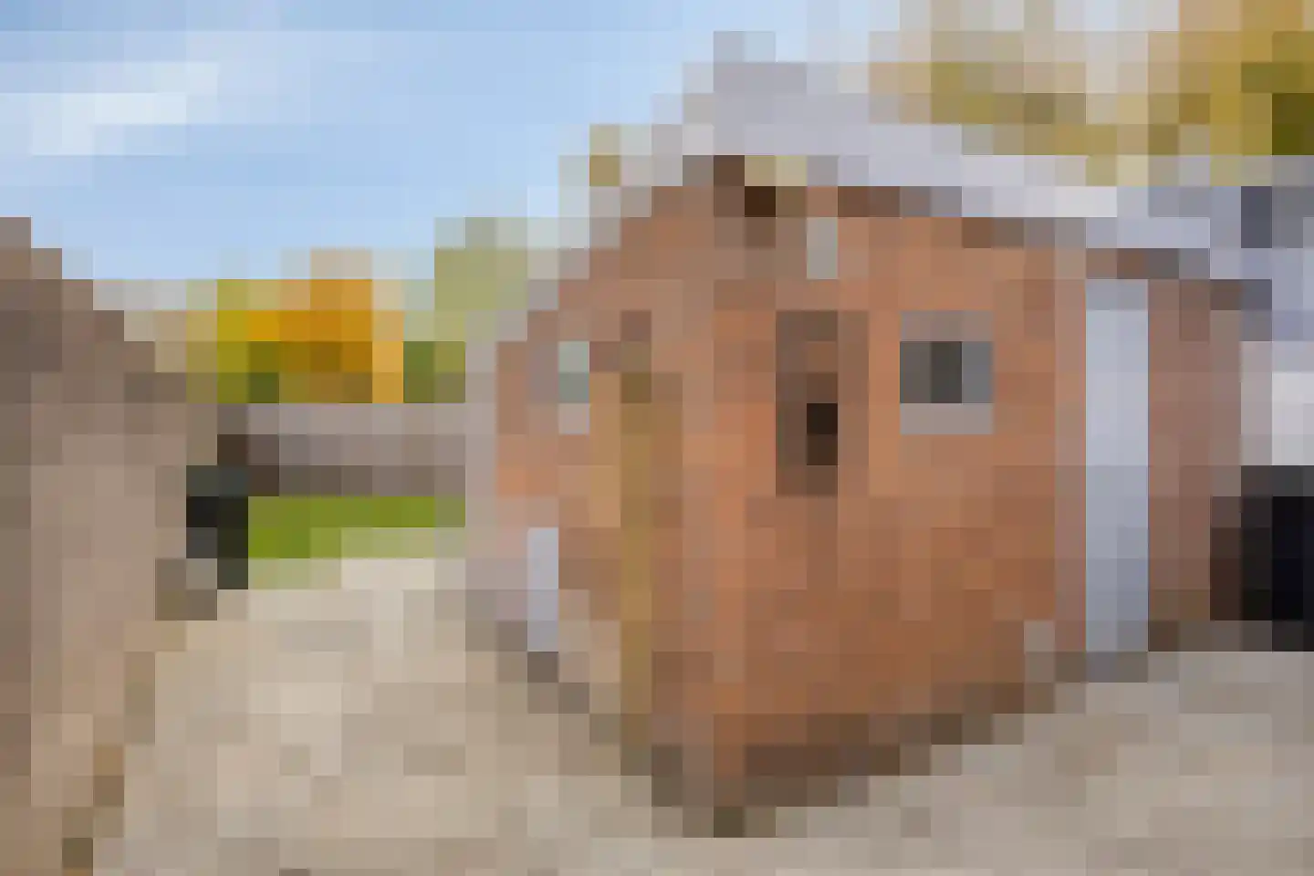 Blockmekerstraat 64 Made thumbnail 30