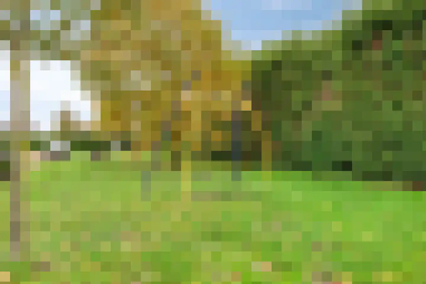 Blockmekerstraat 64 Made thumbnail 33