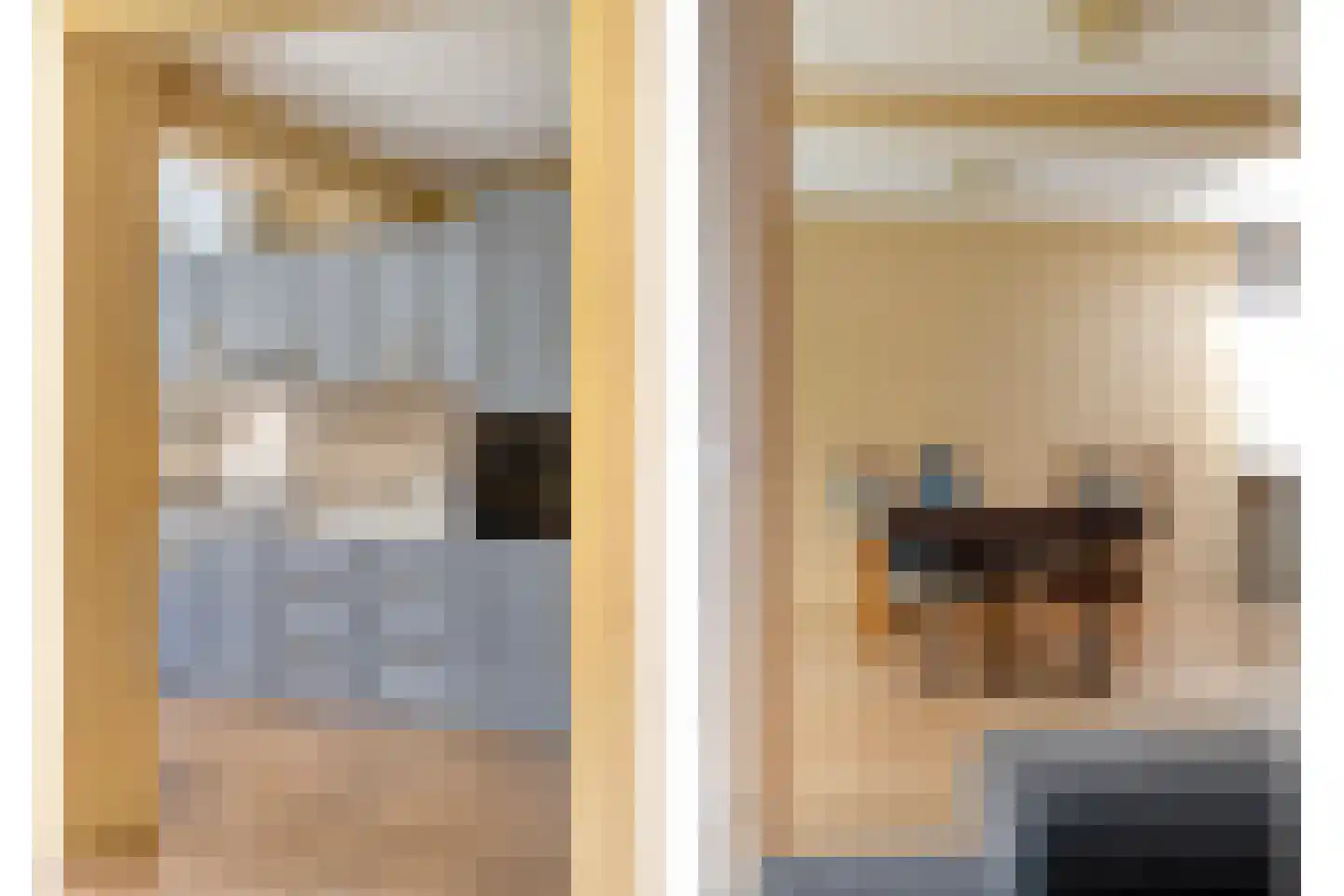 Bloedkoraal 1 Eindhoven thumbnail 19