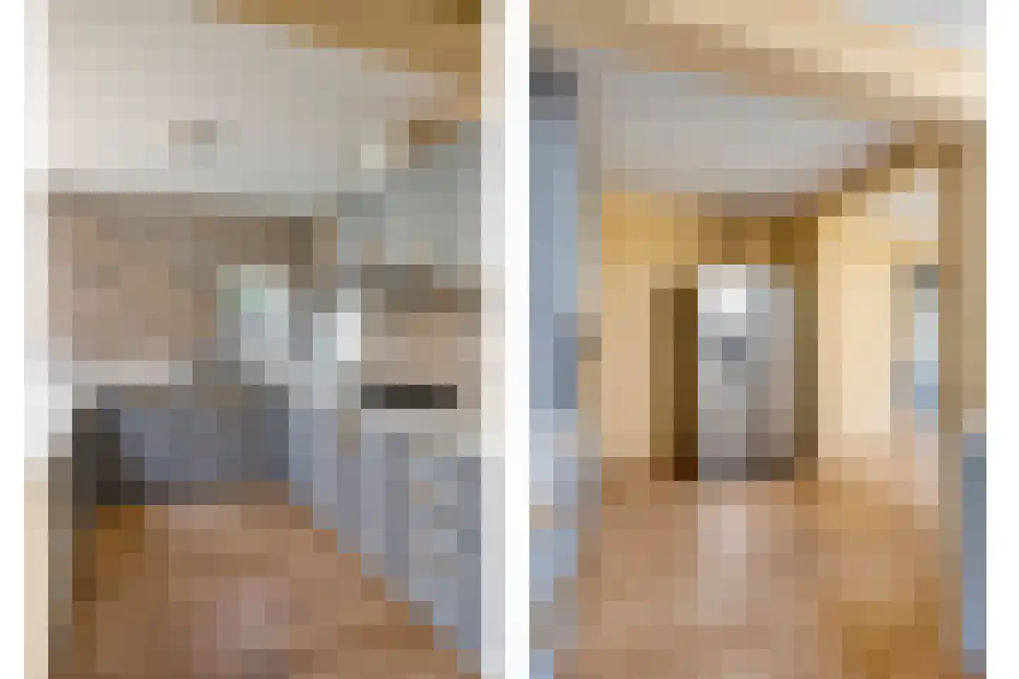 Bloedkoraal 1 Eindhoven thumbnail 20