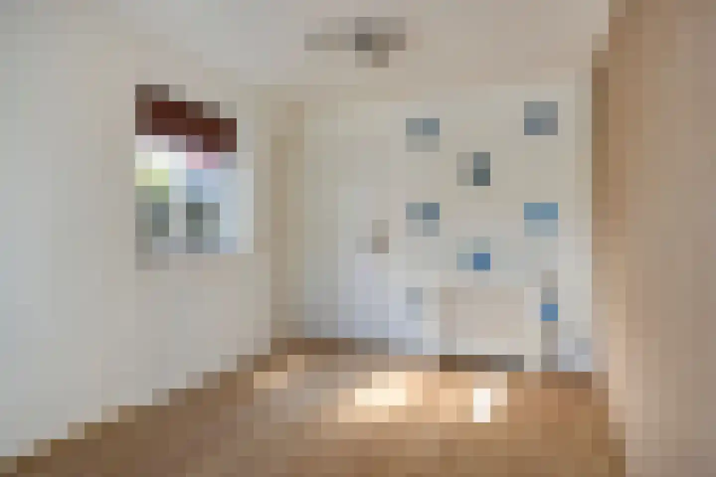 Bloedkoraal 1 Eindhoven thumbnail 26