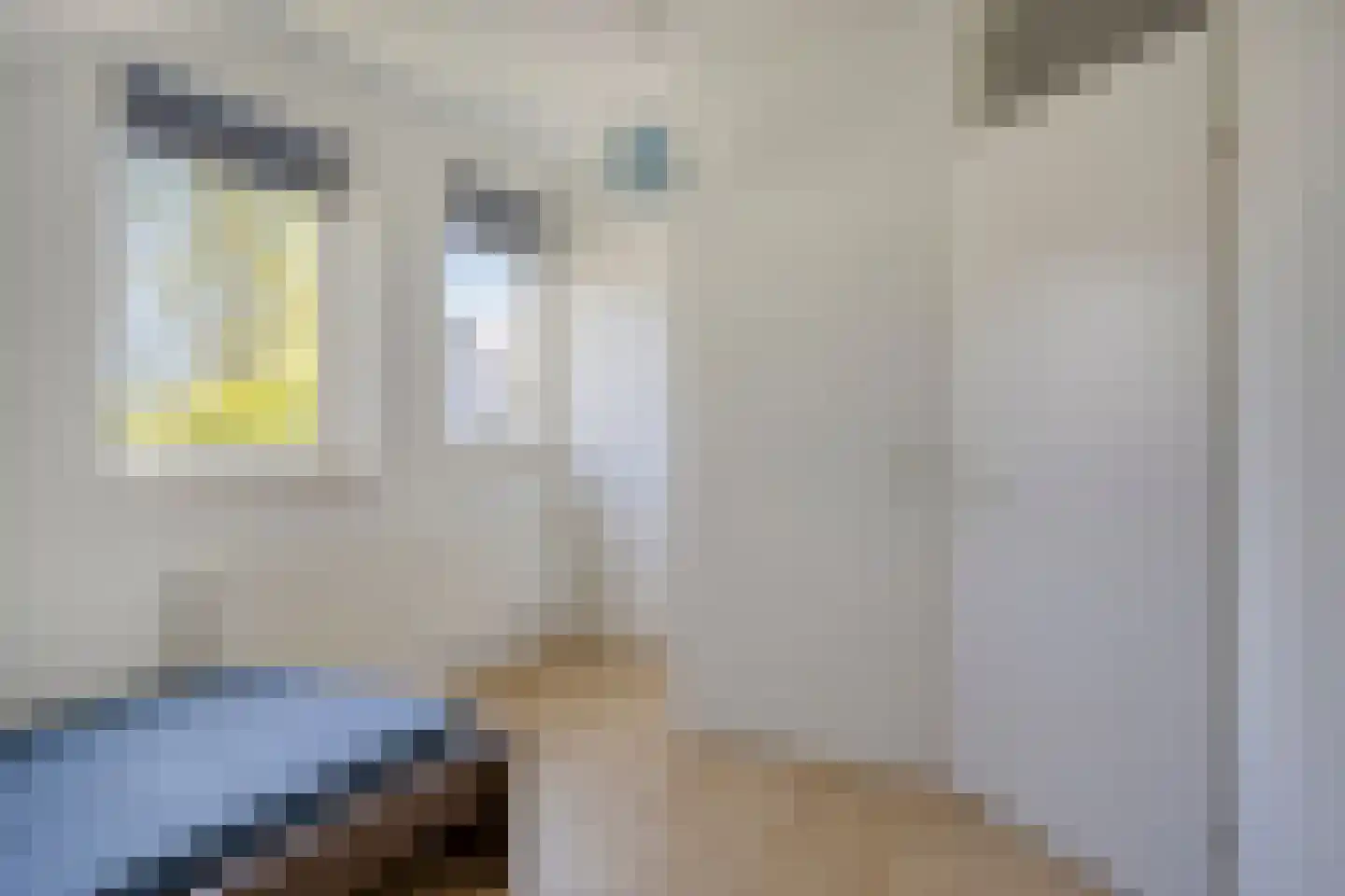 Bloedkoraal 1 Eindhoven thumbnail 34