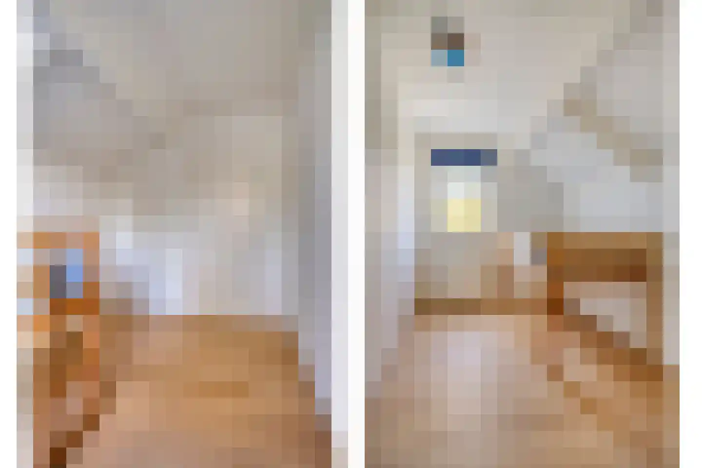 Bloedkoraal 1 Eindhoven thumbnail 35